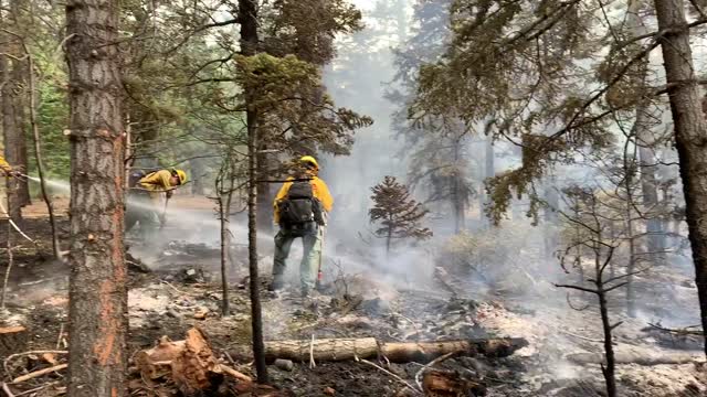 Fork Fire