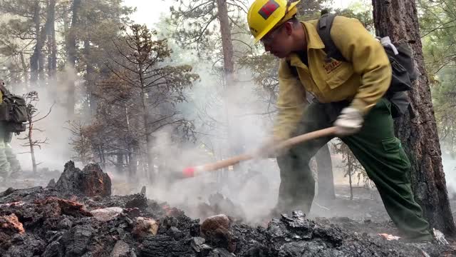 Fork Fire