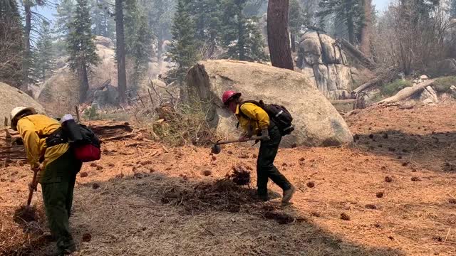 Prescribed Fire