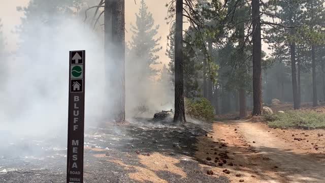 Prescribed Fire
