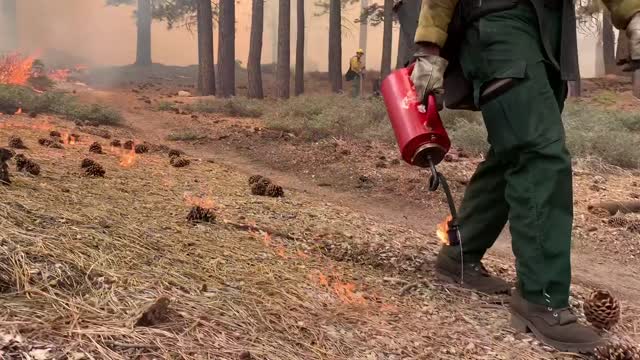 Prescribed Fire