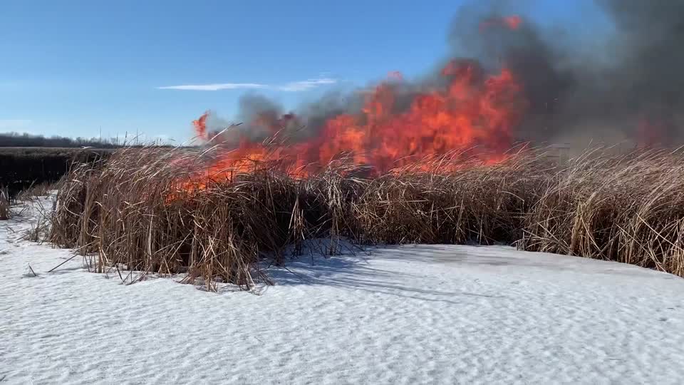 2021 USFWS Fire Employee Photo Contest Category: Video
