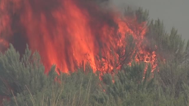 Sagebrush Fire
