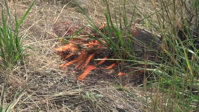 Rangeland Fire