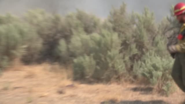 Engine Crew Works Wildfire