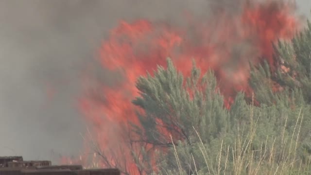 Sagebrush Fire