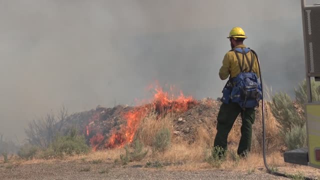 Engine Crew Works Wildfire