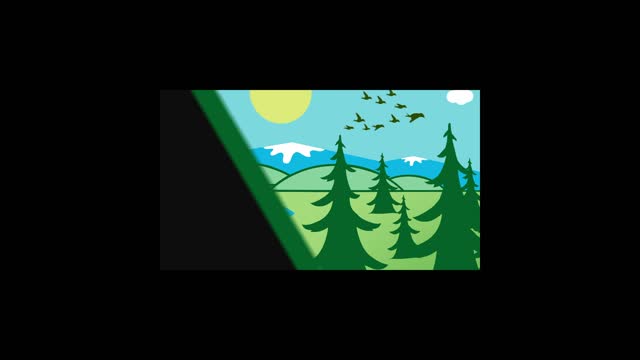2020 Winner: Video