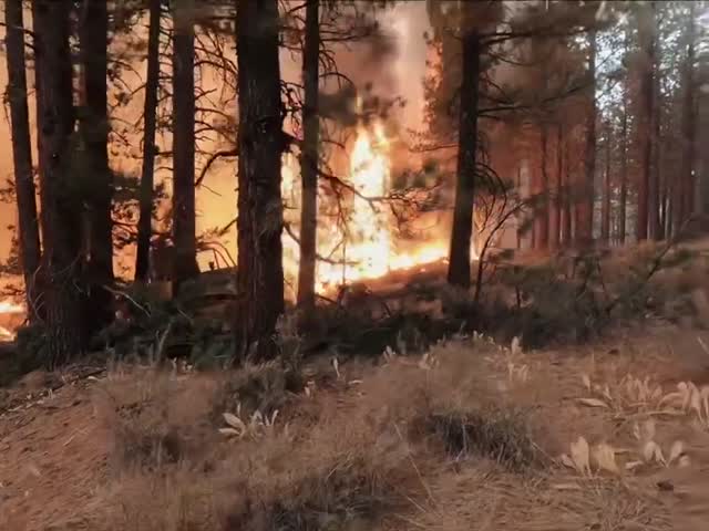 Military and Folsom Lake working on Div QQ of the Dixie Fire_JoeBradshaw (3)