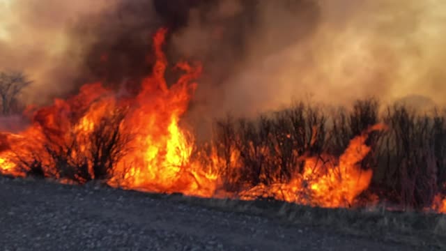 Walker Levee Fire