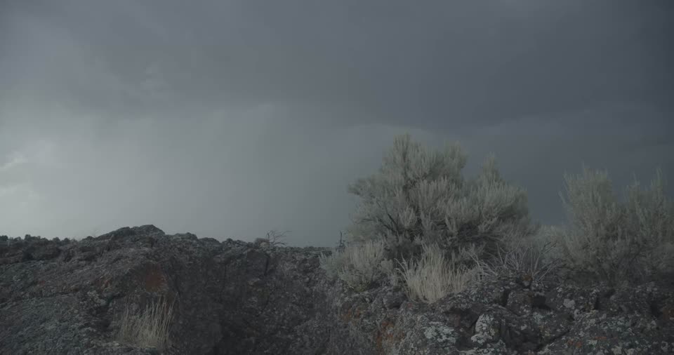 Sagebrush Ecosystem in Idaho