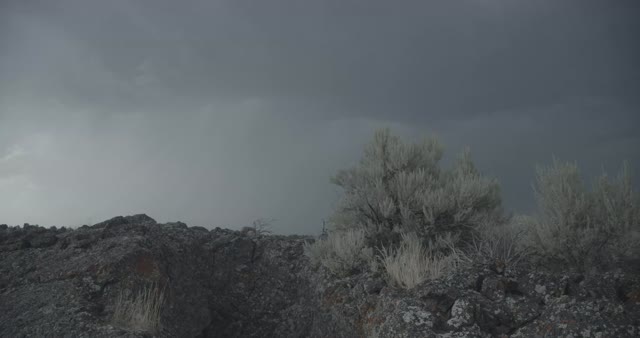Sagebrush Ecosystem in Idaho