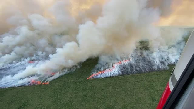 Dry Creek Fire