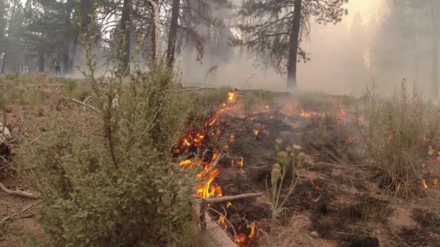 BootlegFire_flames_071921