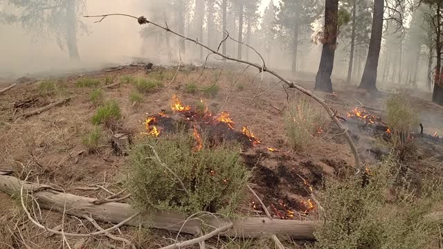 BootlegFire_sawyer_071921