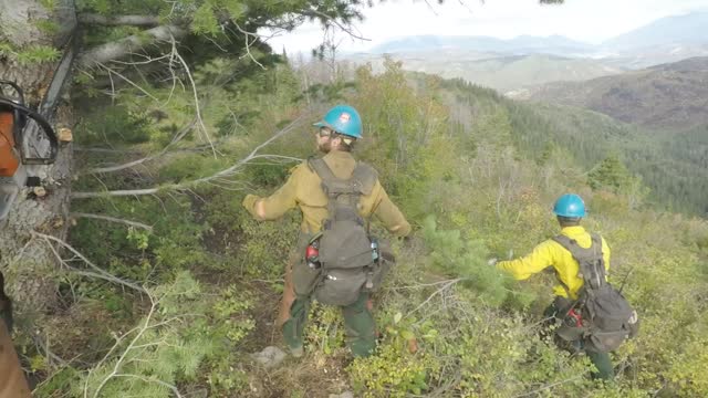 Wildland Firefighters Cutting Line