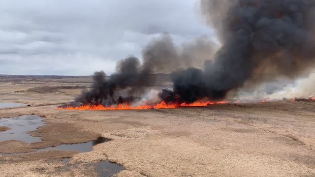 2021 BLM Fire Employee Photo Contest Category: Video Clips