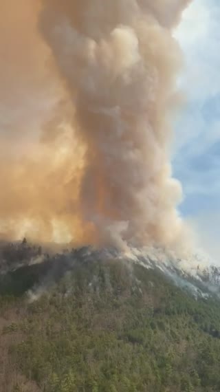 Woods Gap Prescribed Fire