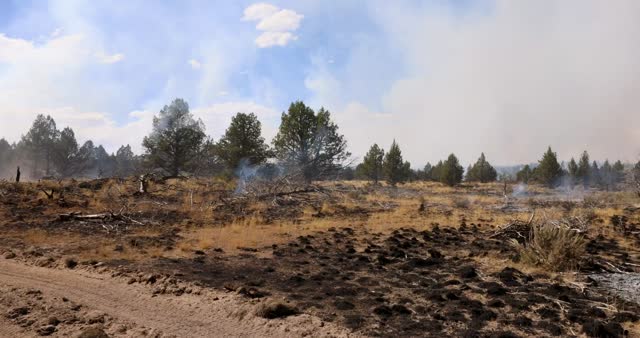 2022 BLM Employee Photo Contest Category - Video
