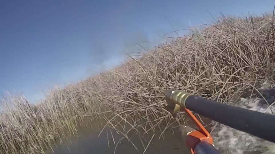 Video Category - USFWS 2022 Photo/Video Contest