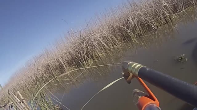 Video Category - USFWS 2022 Photo/Video Contest