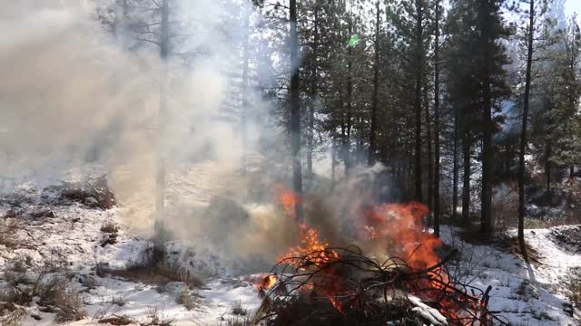 Charcoal Gulch Pile Burn, Idaho City