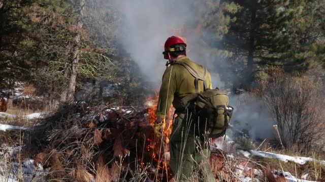 Charcoal Gulch Pile Burn, Idaho City