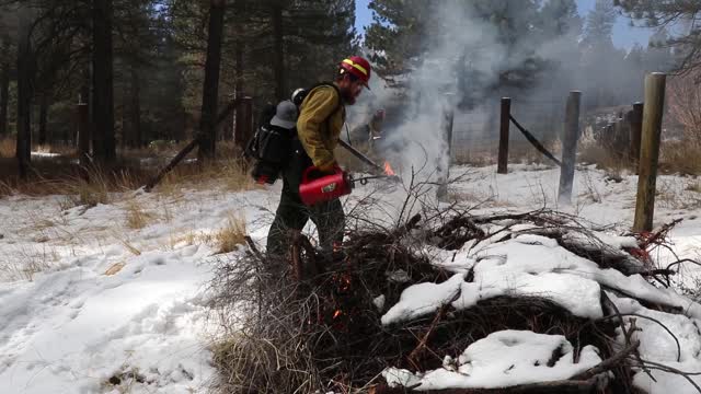 Charcoal Gulch Pile Burn, Idaho City