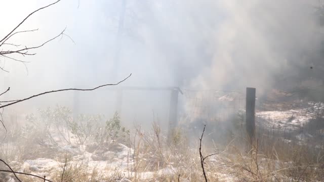 Charcoal Gulch Pile Burn, Idaho City