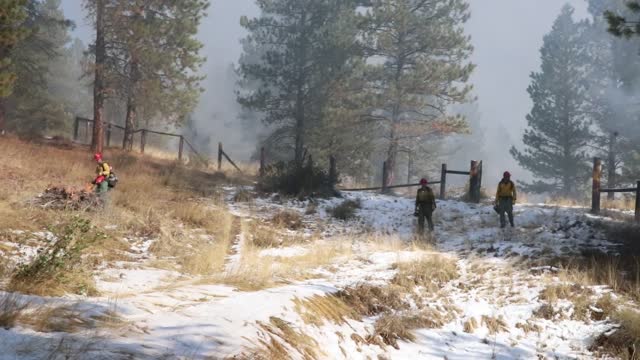 Charcoal Gulch Pile Burn, Idaho City