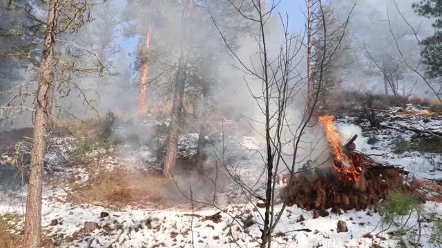 Charcoal Gulch Pile Burn, Idaho City