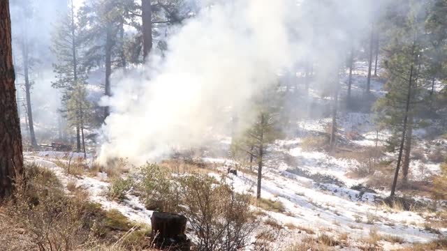 Charcoal Gulch Pile Burn, Idaho City