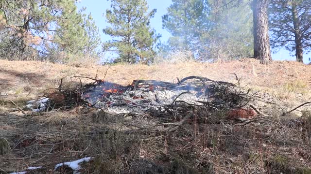 Charcoal Gulch Pile Burn, Idaho City