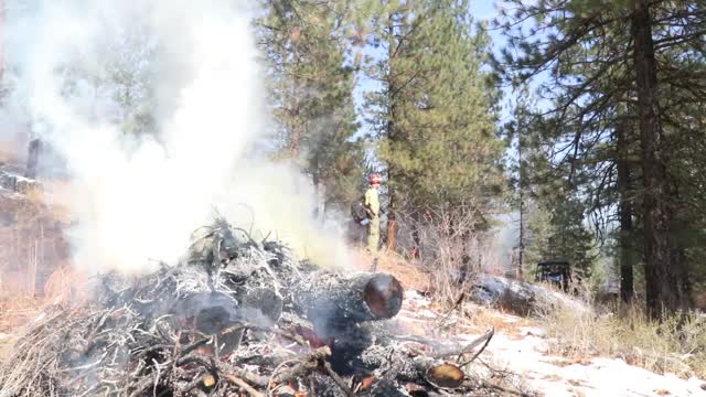Charcoal Gulch Pile Burn, Idaho City