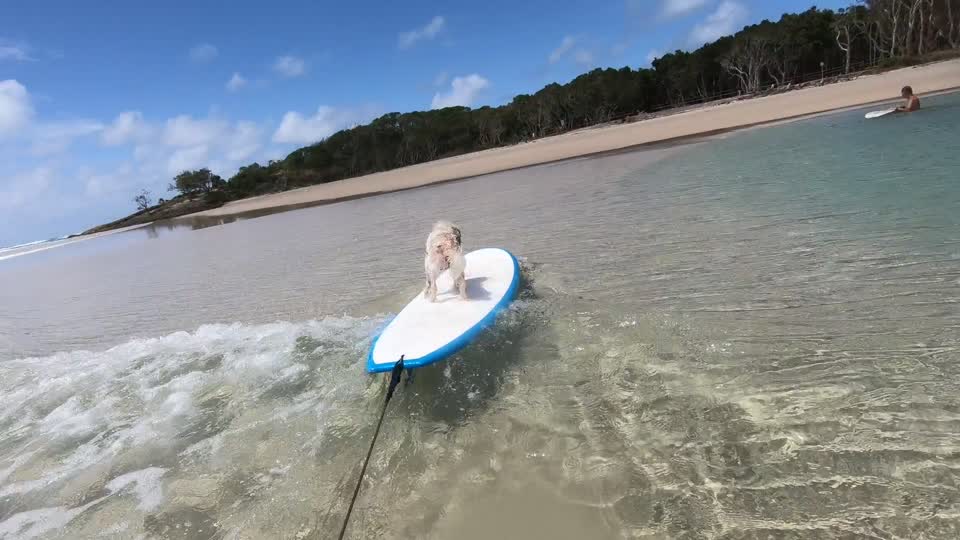 Lucky's first wave
