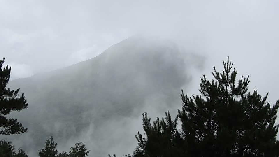 榛山步道107.07.21-雲霧