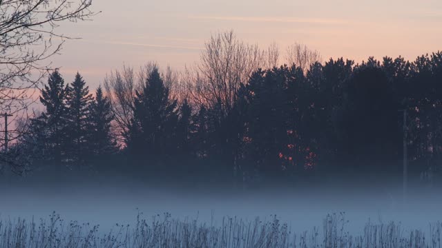 WinterFog