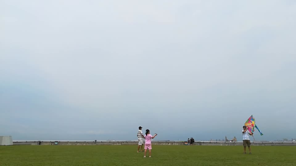video: this is how you fly a kite