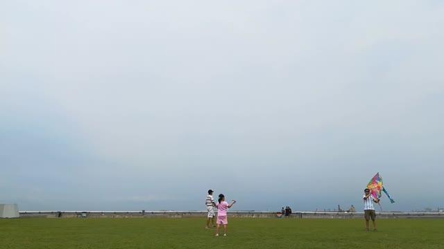 video: this is how you fly a kite