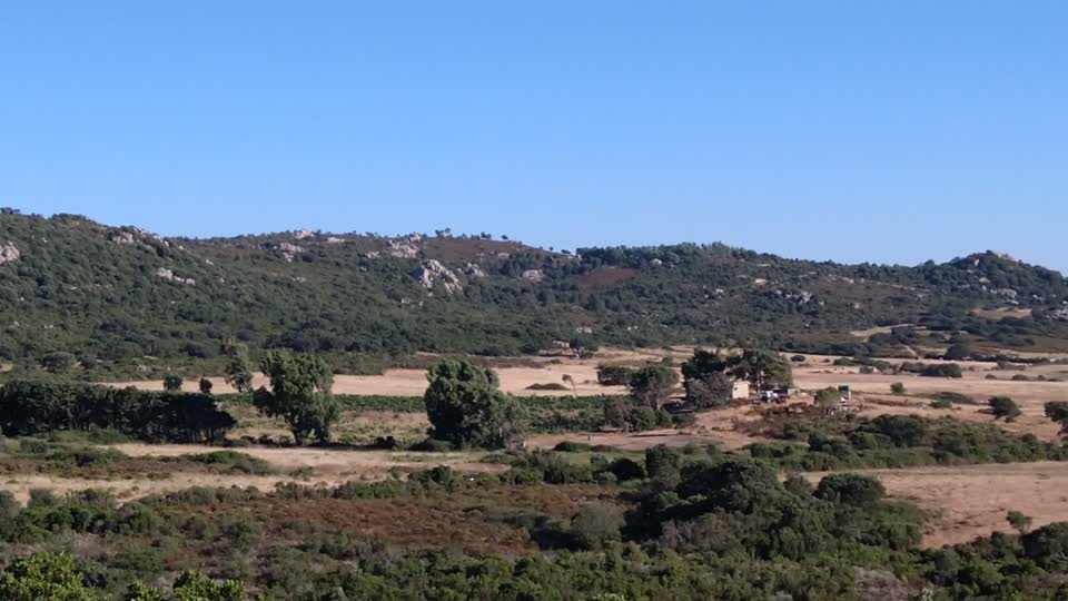 La bellissima spianata di Scupetu in Gallura (sebbene vi siano quelle deturpatrici pale eoliche nello sfondo...)