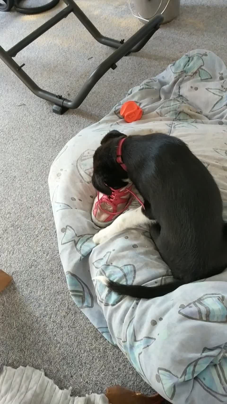 VID_20190408_134942