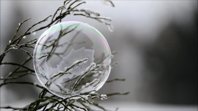 Bubble Turning to Ice