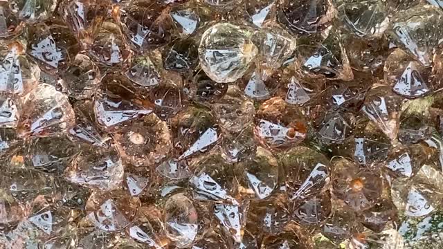 wet pearls