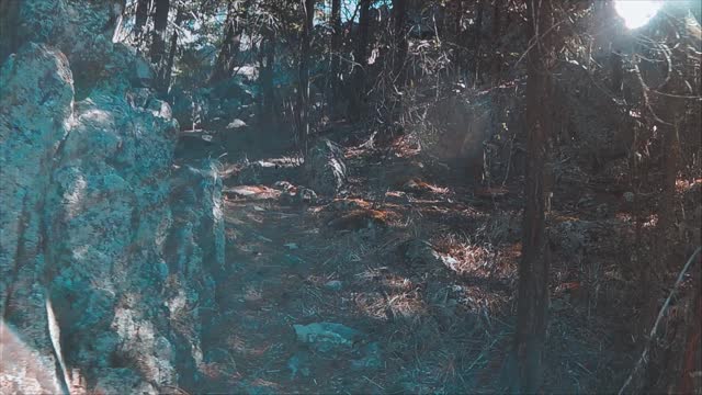 Apocalypse Part 8
