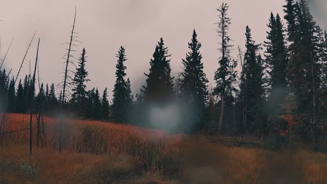 Apocalypse Part 11