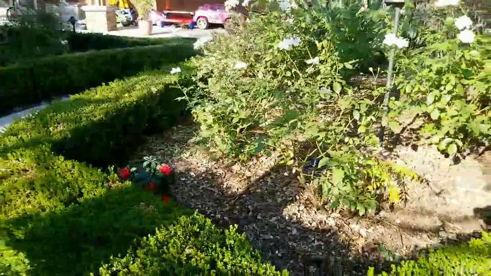 DJI_20170907_165135