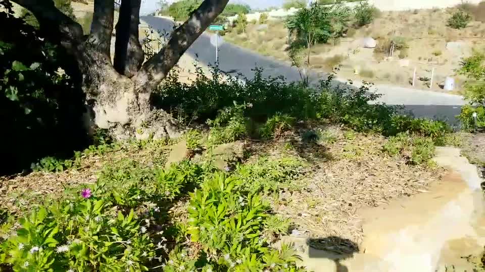 DJI_20170907_163737