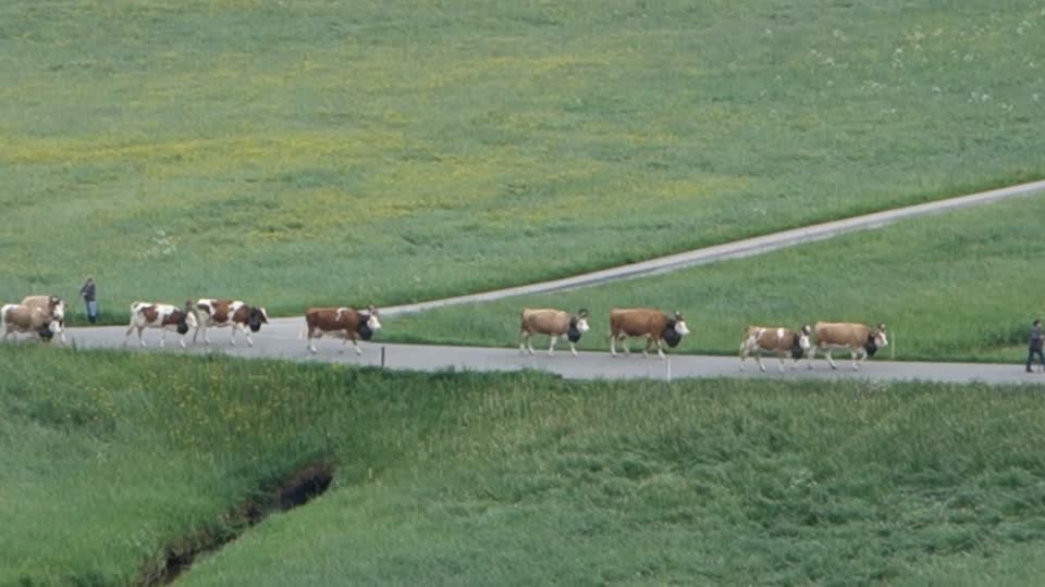 Alpauffahrt Familie Ernst und Erika Fankhauser