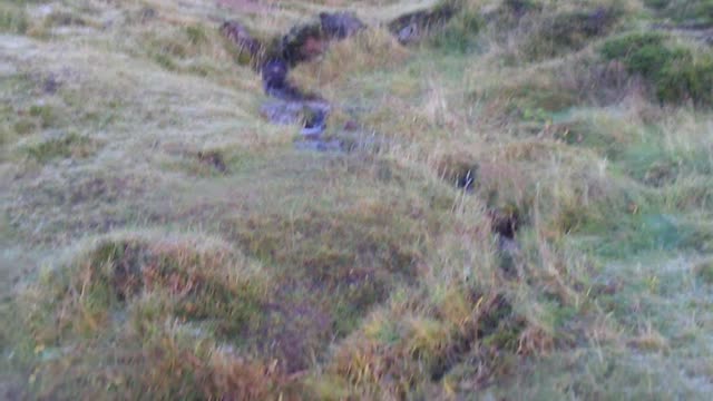 Stream