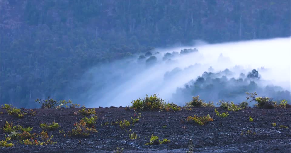 Morning fog at Wahinekapu
